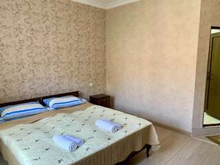 Отель Hotel Red Bridge Кутаиси Двухместный номер с 1 кроватью и собственной ванной комнатой-2